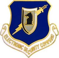 Electronic Security Command Pin