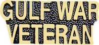 Gulf War Veteran Pin