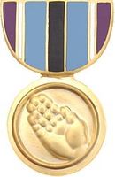 Humanitarian Service Medal Pin