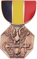 Navy - Marine Corps Medal Pin