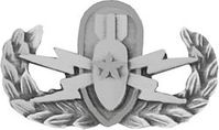 Senior Explosive Ordnance Pin
