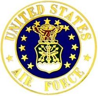 U.S. Air Force Large Pin