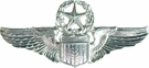 USAF Command Pilot Wings Miniature 