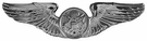 USAF Enlisted Aircrew Wings Full Size 