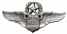 USAF Master Navigator Wings Full Size - OUT OF STOCK