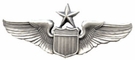 USAF Senior Pilot Wings Full Size