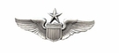 USAF Senior Pilot Wings Miniature 