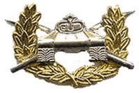 Vietnam Tanker Badge