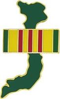 Vietnam with Service Ribbon Pin