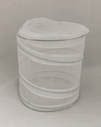 Wedding 30 Monarchs in zipper popup mass release container
