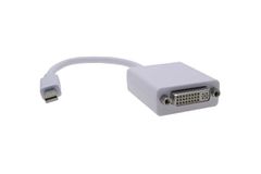 Mini DisplayPort to DVI Adapter - Click to enlarge
