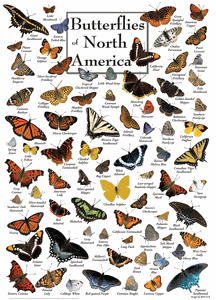Master Pieces 1000 PC Puzzle Butterflies Of North America
