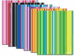 Poly 2-Pocket Portfolio - Stripes