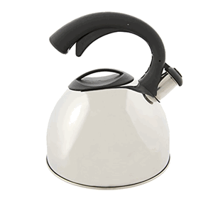Primula 3QT Stainless Steel Tea Kettle