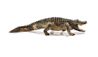 Schleich Alligator with Moving Jaw