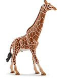 Schleich - Male Giraffe