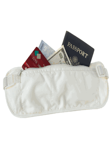 Travel Smart Waist Security Pouch