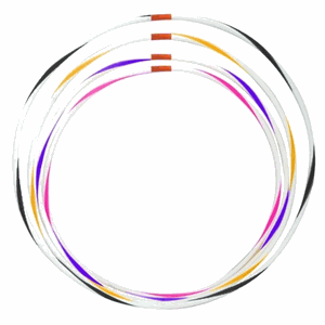 Wham O  Hula Hoop