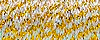 3228 Topaz, #24 Braid