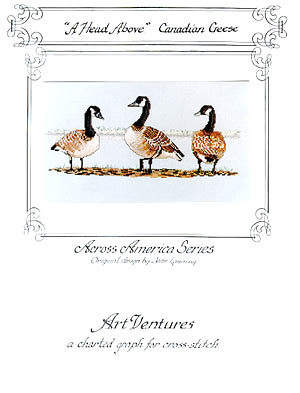 A Head Above - Canadian Geese