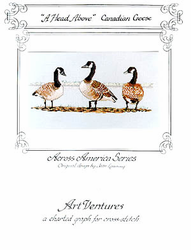 A Head Above - Canadian Geese