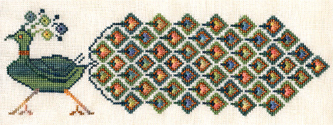 A Plain And Fancy Peacock