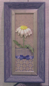 A Pocket Full Of Daisies