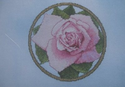 Spring - A Rose for Every Season