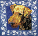 Airedale Terrier w/ Border