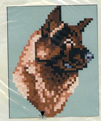 Akita - Fawn