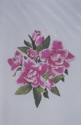 Alyssa's Azaleas