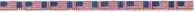American Flags Belt