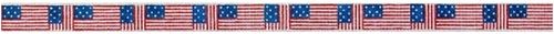 American Flags Belt