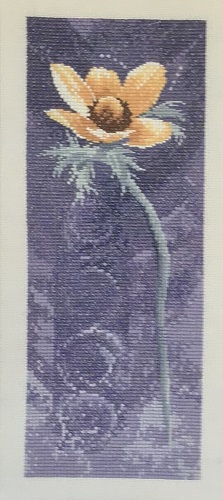 Anemone
