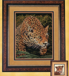 Animal Profiles: Jaguar