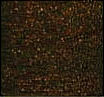 Antica, Bronze, AT6