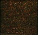 Antica, Bronze, AT6