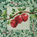 Apples w/ Border