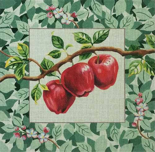 Apples w/ Border