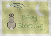 Baby Sleeping with Bunny