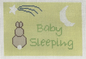 Baby Sleeping with Bunny