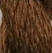 Bark - Thirteen Silk 3038