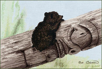 Bear Cub