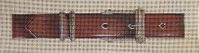 Belt w/Gold and Silver Buckle