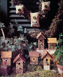 Bird Seed