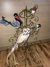 Birds