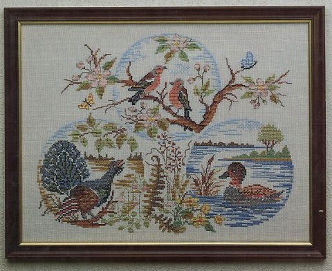 Birds