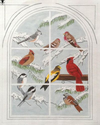 Birds and Birdhouses