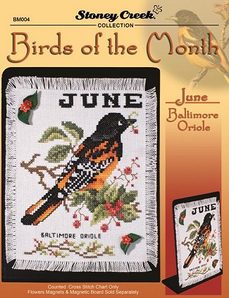 Birds Of The Month - Balimore Orioles