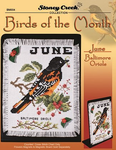 Birds Of The Month - Balimore Orioles